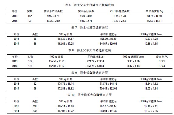 致富经猪养殖_猪养殖致富案例_养猪致富技术