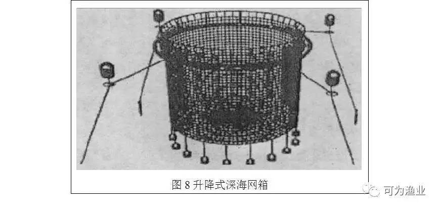 养殖鲶鱼网箱技术要求_养殖鲶鱼网箱技术规范_鲶鱼的网箱养殖技术