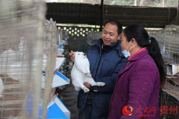 芝麻鱼价格_致富经养殖芝麻鱼_生鱼黑芝麻养殖技术视频