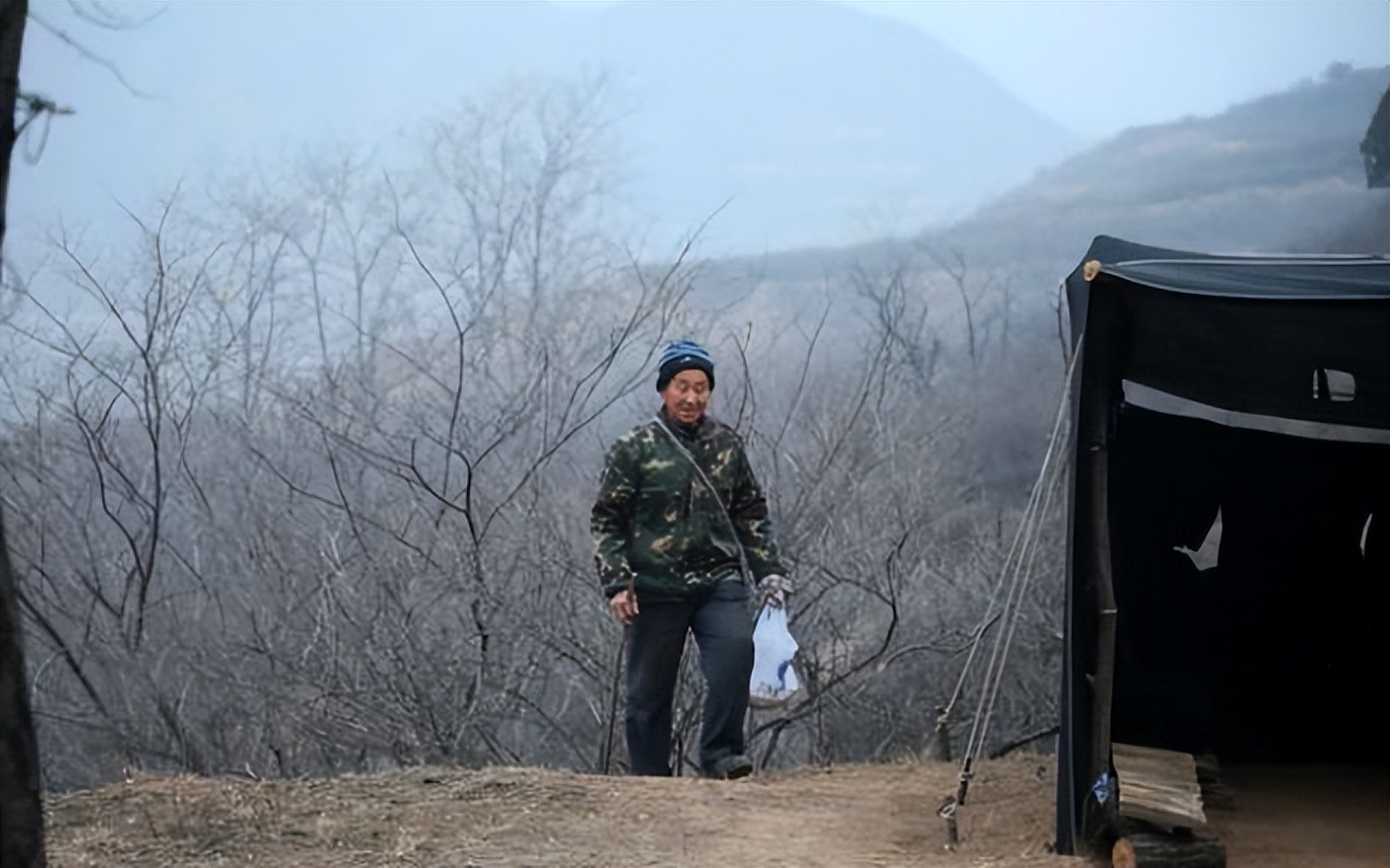 养殖红腹锦鸡犯法吗_红腹锦鸡养殖致富_养殖红腹锦鸡利润