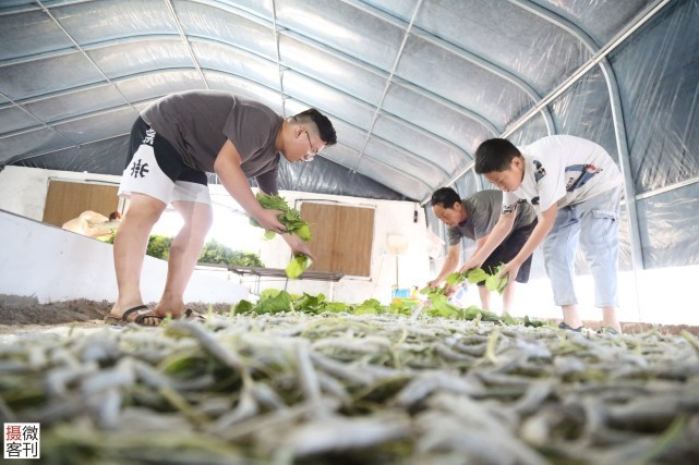 家庭养殖致富小项目_致富居家养殖小说全文_居家小养殖致富