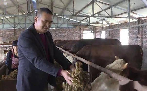 致富牛肉加工厂电话_致富牛肉加工厂地址_致富经牛肉深加工