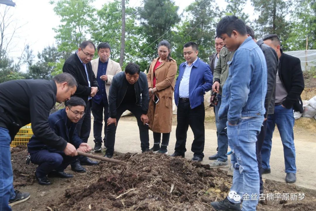 平原镇：到煎茶学习蚯蚓养殖技术（4月25日）