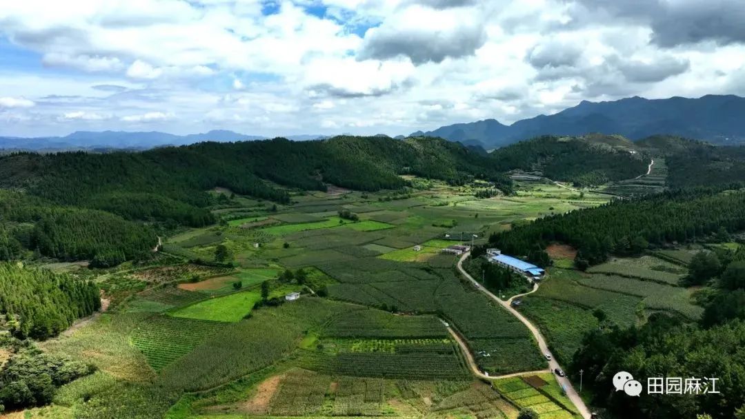 夯实产业发展根基 点燃乡村振兴“引擎”—— 黔东南州优化产业结构铺开乡村振兴新路