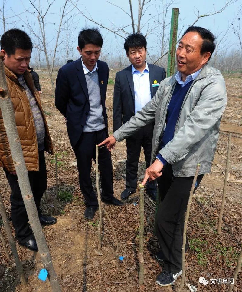 致富农经_下载农业致富经_农业致富网下载