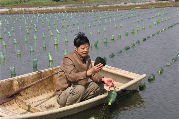 珍珠鳖的养殖技术_珍珠养殖鳖技术要求_珍珠鳖养殖场