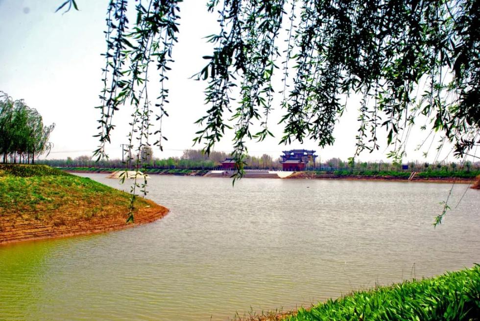 盆景苹果怎么种植技术_苹果盆景怎么种植_种植盆景苹果技术要点