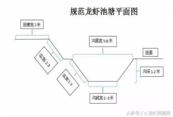 小龙虾养殖池塘设计图分享，小龙虾池塘开挖的方法及注意事项！