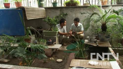 cctv7芦笋致富栏目视频_致富经蜂蜜致富_cctv7致富经蜂蜜