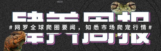 陆龟合法的曙光 ? 国家新发布动物分类管理名录来了！ | 肆养周报