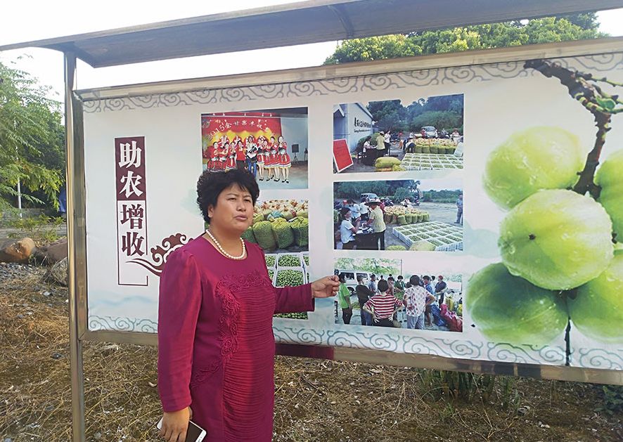 致富经种植三种水果亩收入过亿_致富水果种植果园图片_水果种植致富果