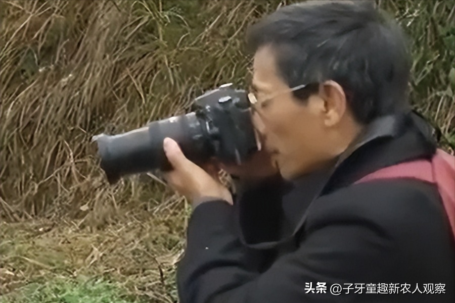 致富养殖大雁信息怎么写_大雁养殖场_大雁养殖致富信息