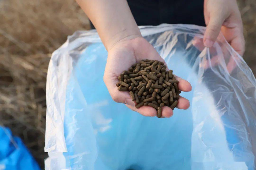 养殖调鳜鱼水技术视频教程_鳜鱼养殖调水技术_鳜鱼用什么调性