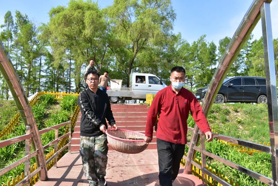 泥鳅养殖致富吗_致富养殖泥鳅图片_致富养殖泥鳅怎么样