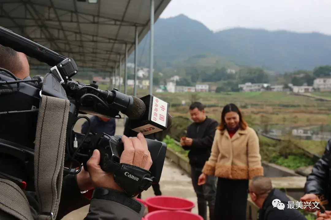 致富经养殖虾视频直播_致富经养殖虾_视频致富虾养殖直播