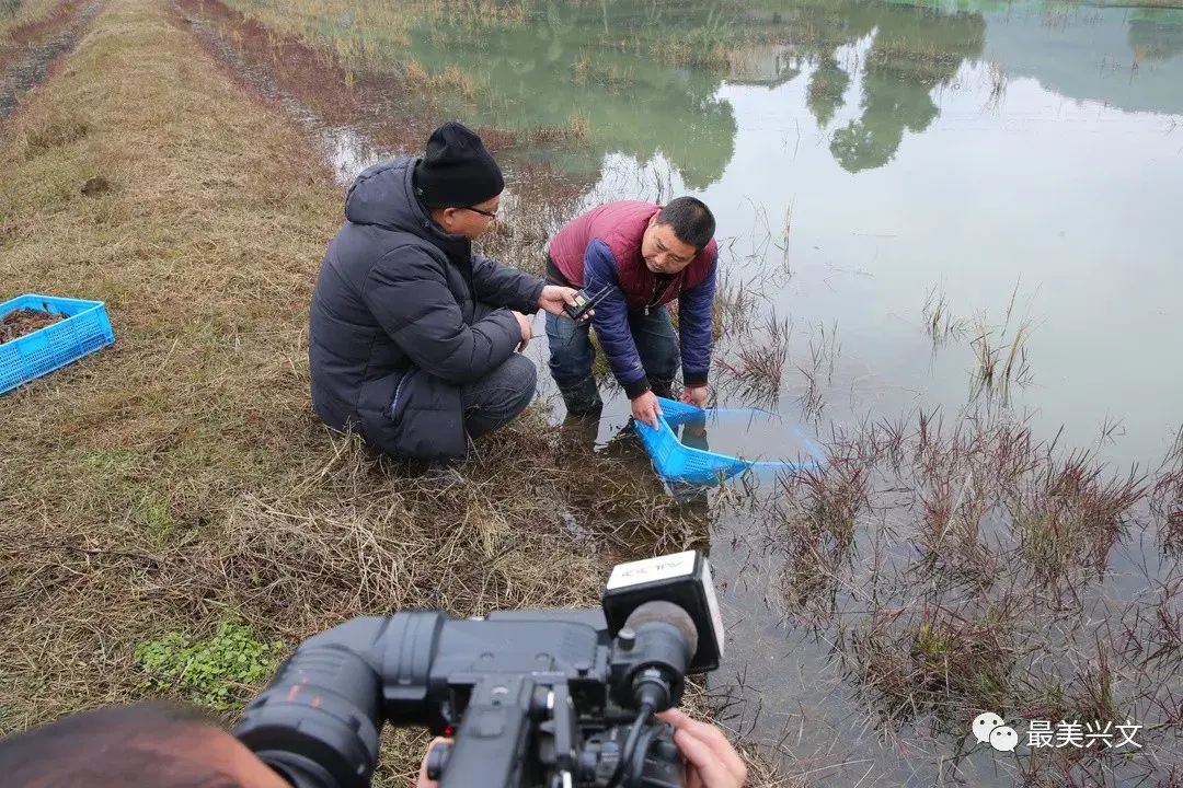 致富经养殖虾视频直播_视频致富虾养殖直播_致富经养殖虾