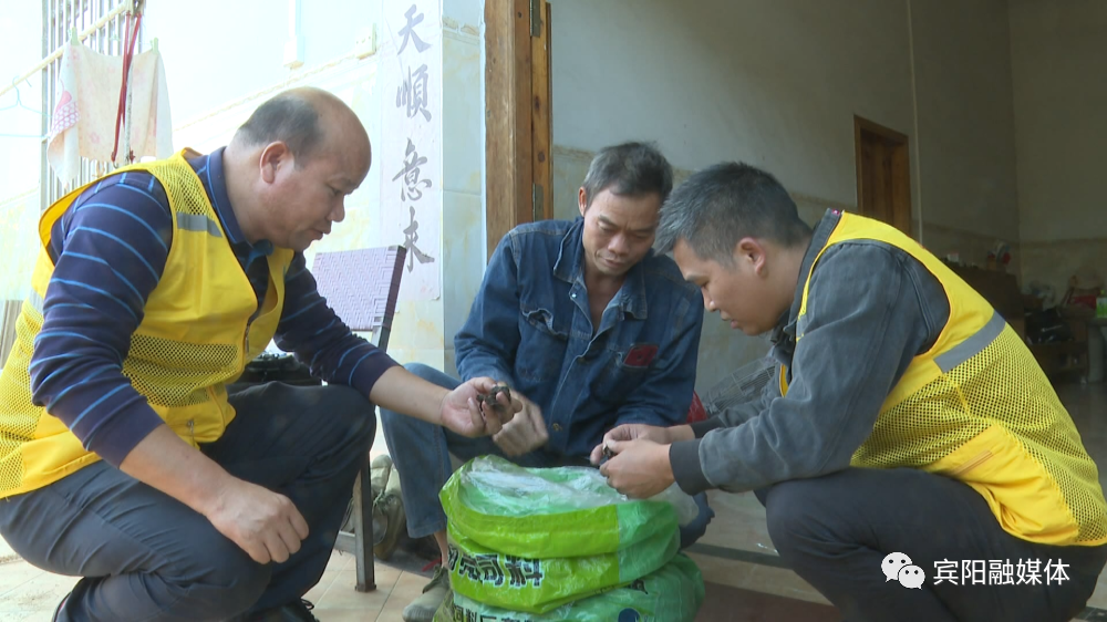 楼顶养殖项目_致富养殖楼顶可以种菜吗_楼顶养殖什么可以致富