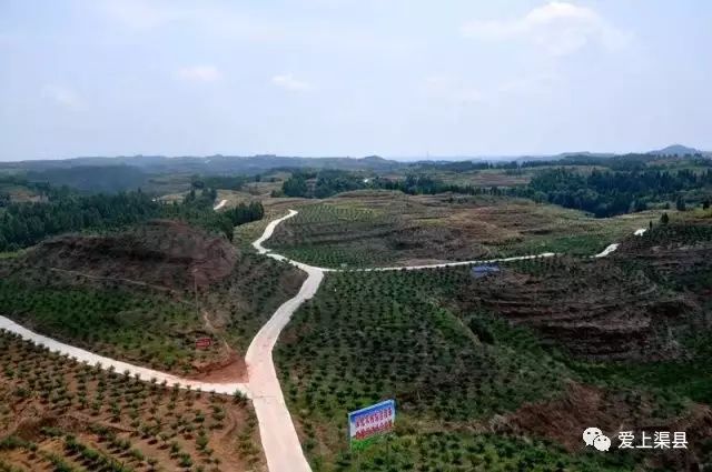 泥鳅养殖致富吗_致富养殖泥鳅怎么样_养殖泥鳅的利润如何