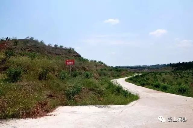 致富养殖泥鳅怎么样_泥鳅养殖致富吗_养殖泥鳅的利润如何