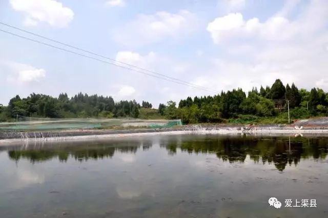 养殖泥鳅的利润如何_致富养殖泥鳅怎么样_泥鳅养殖致富吗