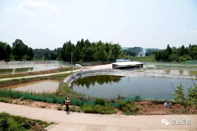 养殖泥鳅的利润如何_泥鳅养殖致富吗_致富养殖泥鳅怎么样