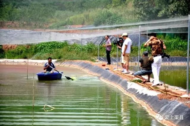 养殖泥鳅的利润如何_致富养殖泥鳅怎么样_泥鳅养殖致富吗