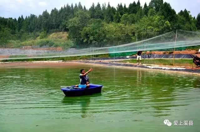 养殖泥鳅的利润如何_泥鳅养殖致富吗_致富养殖泥鳅怎么样