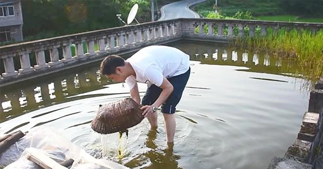 致富养殖楼顶可以种菜吗_楼顶养殖项目_楼顶养殖什么可以致富