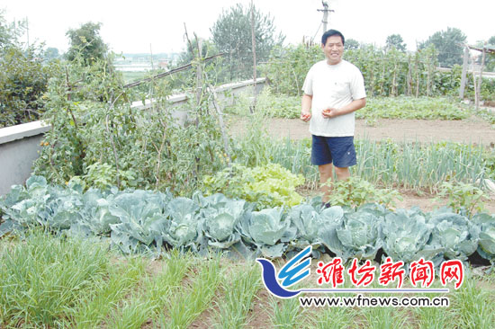 屋顶建农场 种菜又养鸡