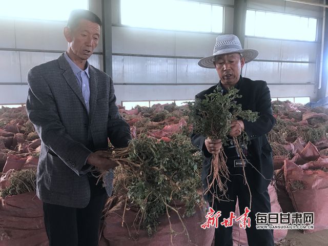 种植致富宝典_农业种植致富宝_致富经农业种植