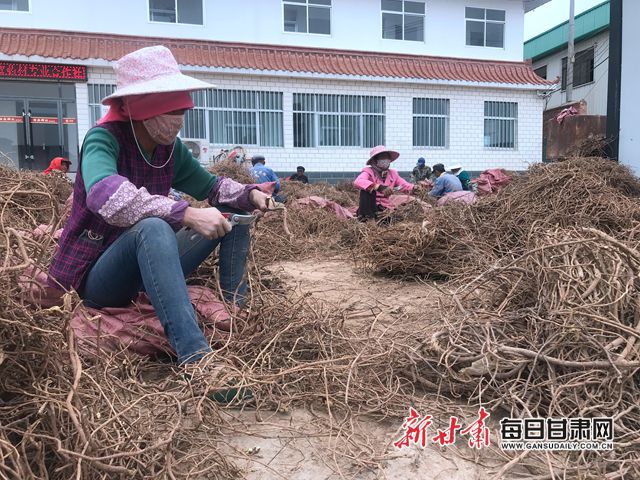 致富经农业种植_农业种植致富宝_种植致富宝典