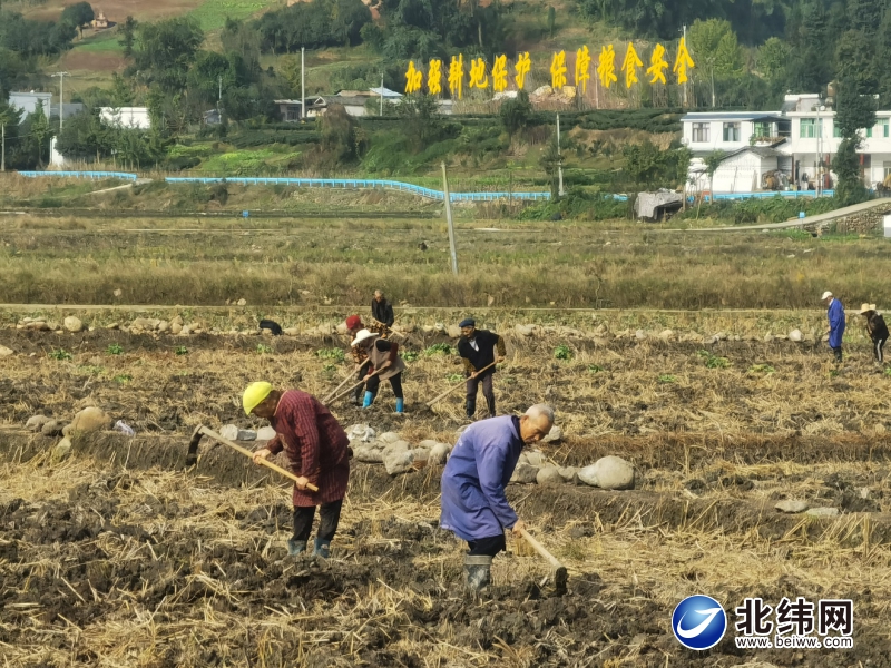 致富种植视频全集_养殖视频致富经_高产种养致富经视频