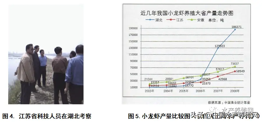 湖北泥鳅养殖是骗局吗_养殖湖北泥鳅台湾技术怎么样_湖北台湾泥鳅养殖技术