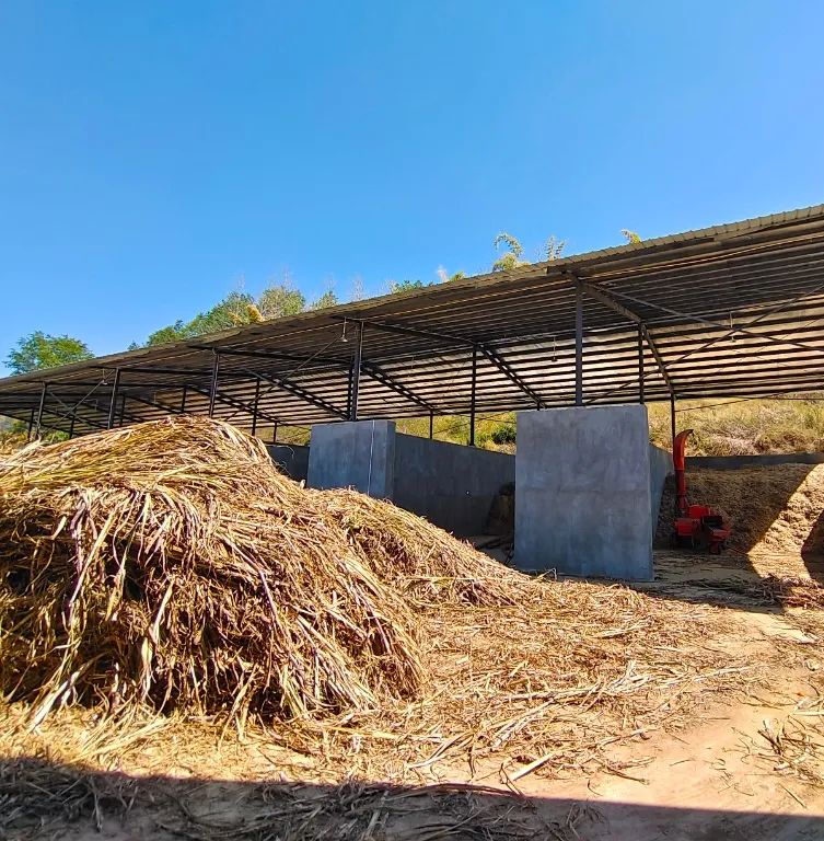 致富养殖肉牛项目有哪些_致富经肉牛养殖场的视频_养殖肉牛致富项目