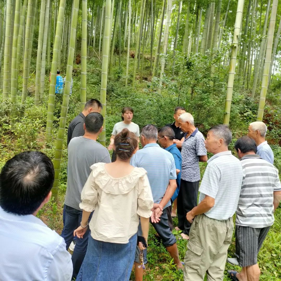 扎根大竹海 掘出致富经——全国最美林草科技推广员 柳丽娜