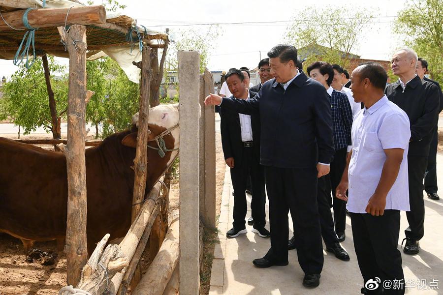 视频致富养殖鳗鱼网红_致富经养殖鳗鱼视频网_鳗鱼养殖纪录片