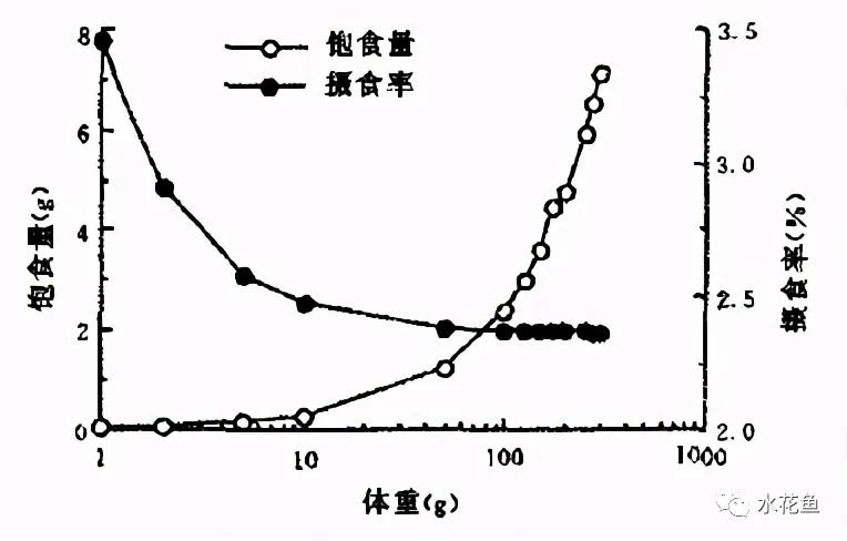 冬季鲤鱼养殖技术_鲤鱼养殖冬季技术要点_鲤鱼冬天怎么过冬