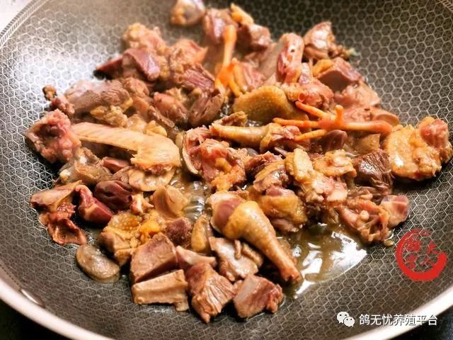 肉鸽养殖技术视频教程_养肉鸽技术视频大全_肉鸽养殖视频技术视频