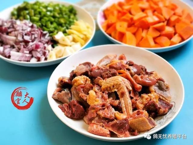 肉鸽养殖视频技术视频_养肉鸽技术视频大全_肉鸽养殖技术视频教程