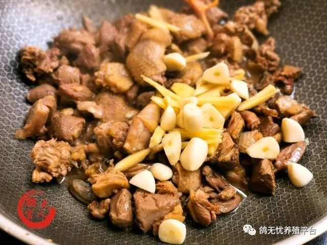 肉鸽养殖视频技术视频_肉鸽养殖技术视频教程_养肉鸽技术视频大全