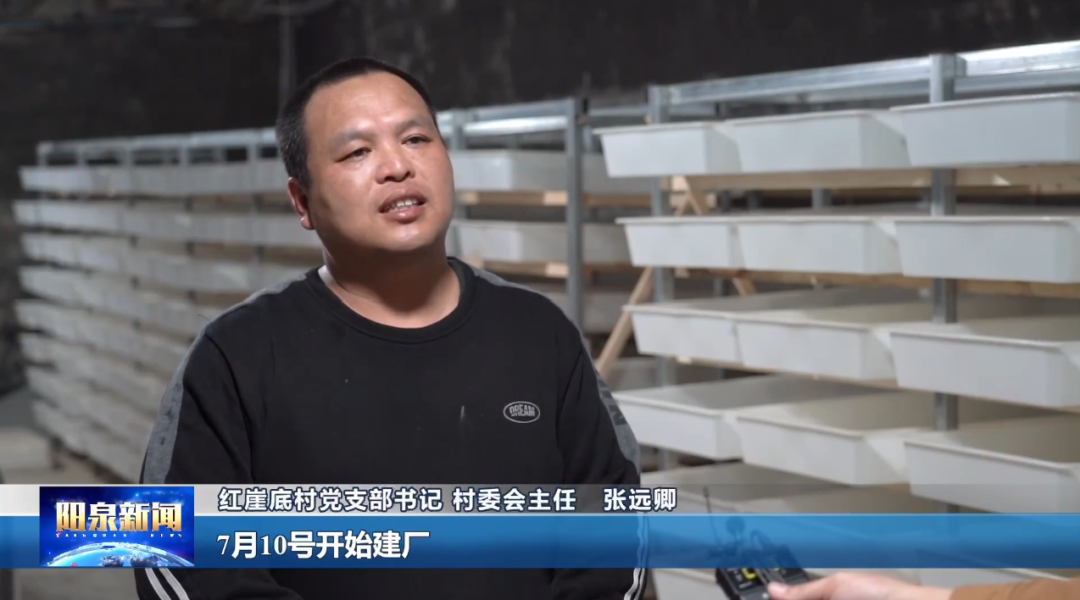 致富经蝎子养殖技术视频_蝎子养殖致富吗_致富蝎子养殖方法