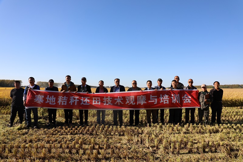 水稻青蛙综合养殖技术_水稻青蛙综合养殖技术_水稻青蛙综合养殖技术