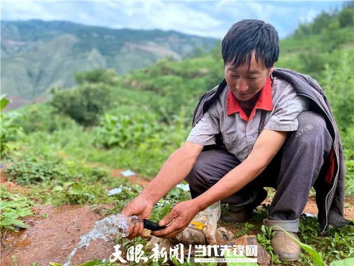 农村种植蔬菜致富方案_致富早班车蔬菜种植_种菜致富案例