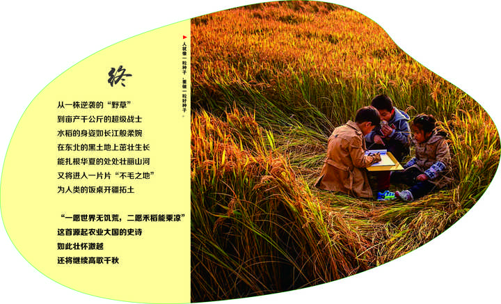 东北种植什么前景好_东北致富种植_东北农村致富项目种植