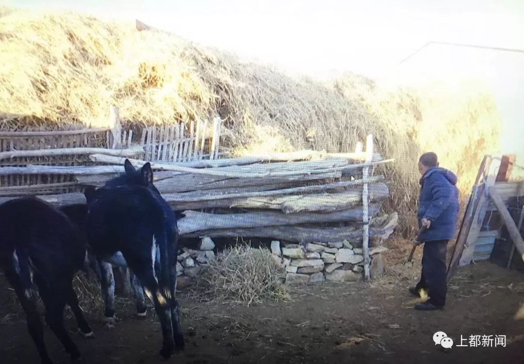 致富养殖路线图片_养殖致富的路线_致富养殖业