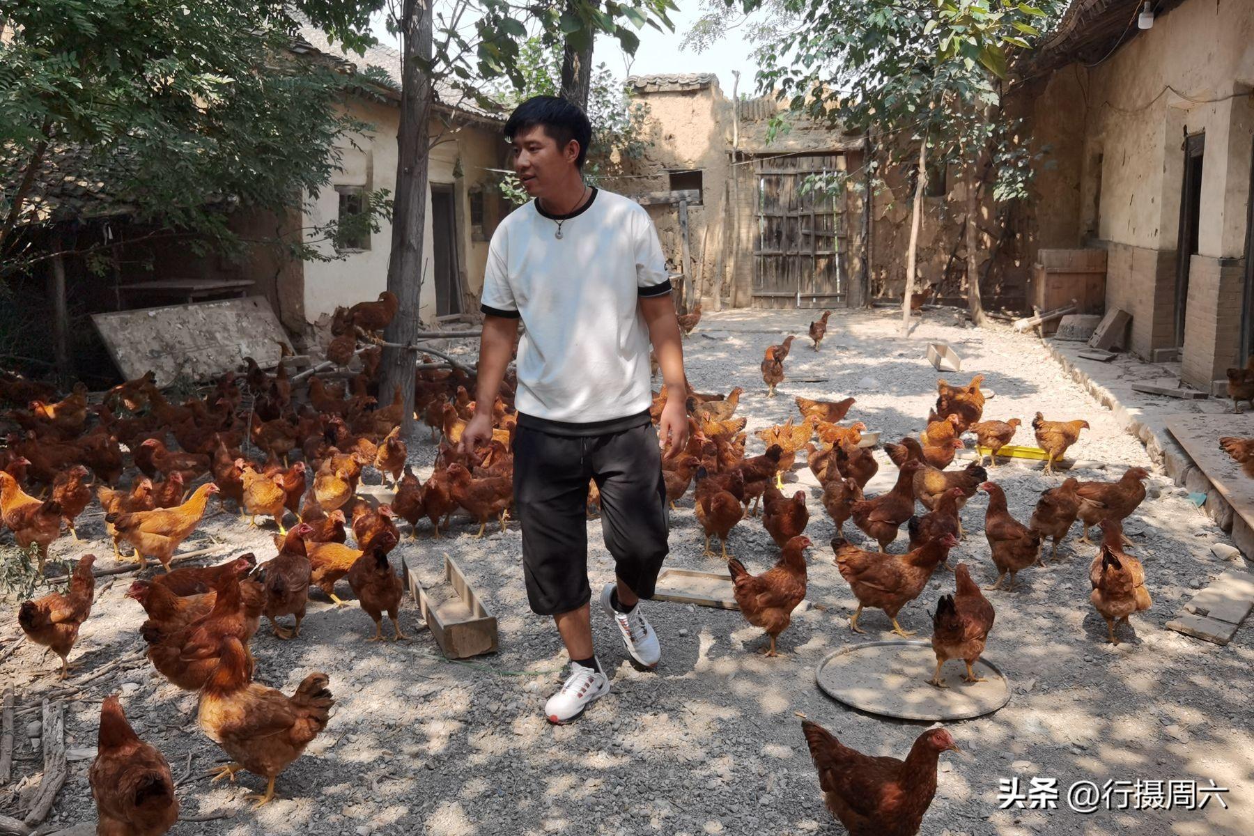 农业养殖频道致富经视频_致富养殖好项目大全_阳光致富养殖视频