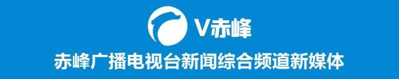 肉牛养殖致富项目_致富养殖肉牛项目介绍_致富经肉牛养殖场的视频