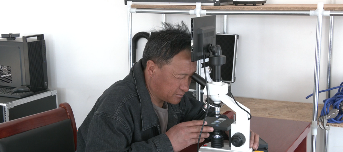 致富养殖肉牛项目怎么样_肉牛养殖致富项目_致富经肉牛养殖场的视频