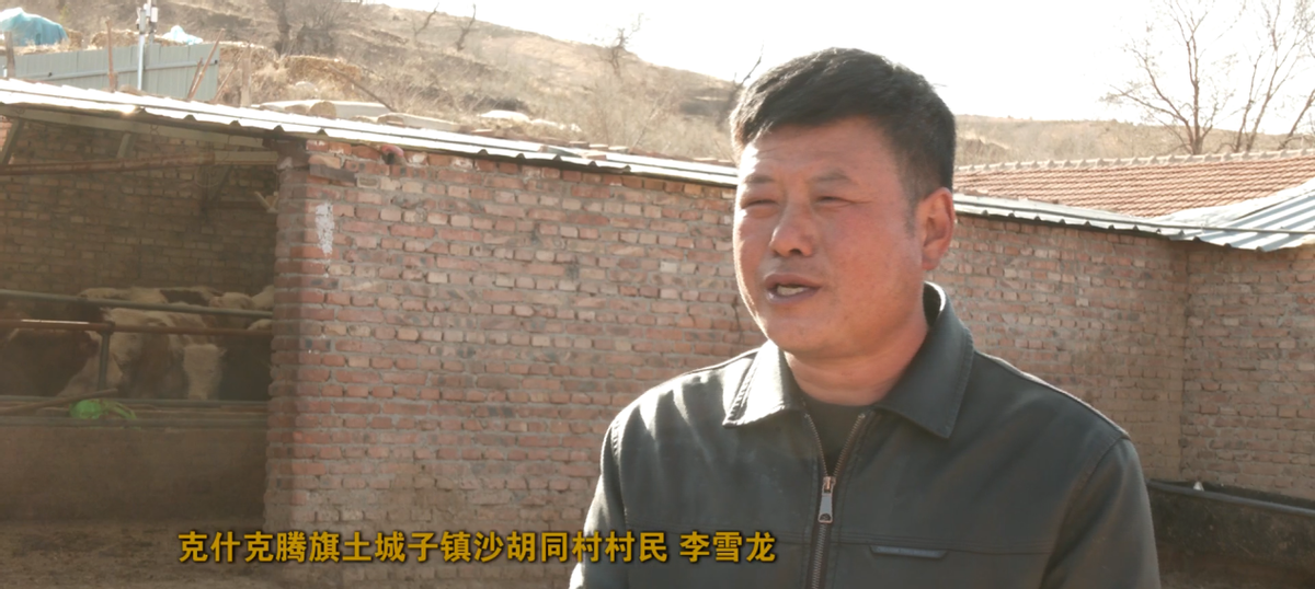 致富养殖肉牛项目怎么样_肉牛养殖致富项目_致富经肉牛养殖场的视频