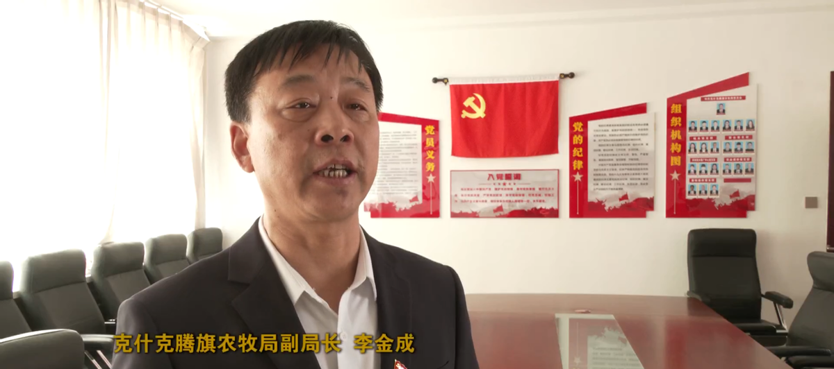 肉牛养殖致富项目_致富养殖肉牛项目怎么样_致富经肉牛养殖场的视频
